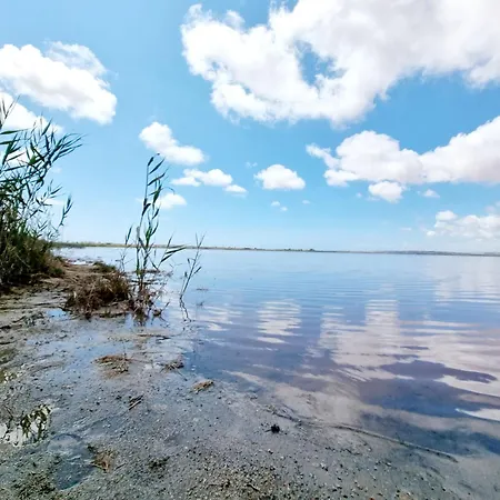 House With Private Pool 木屋 托雷维耶哈
