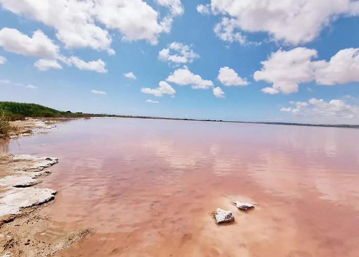 Alpstuga House With Private Pool *